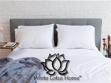 Pure Cotton & Wool Latex Dreamton Mattress